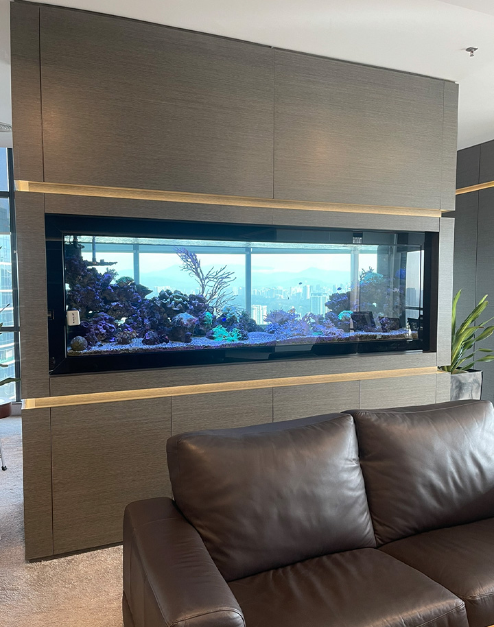Coral Reef Image