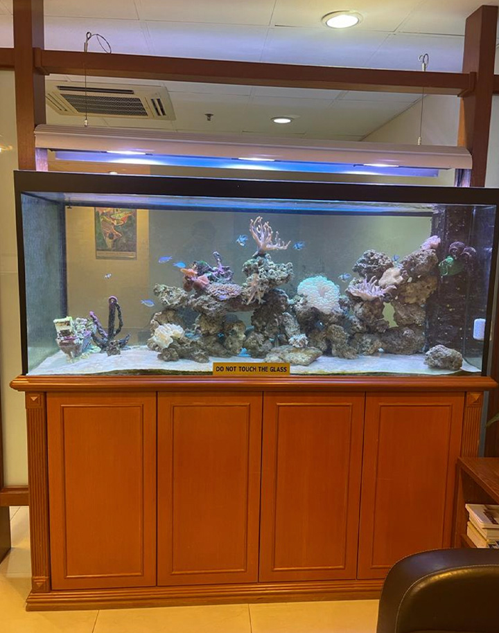 Coral Reef Image