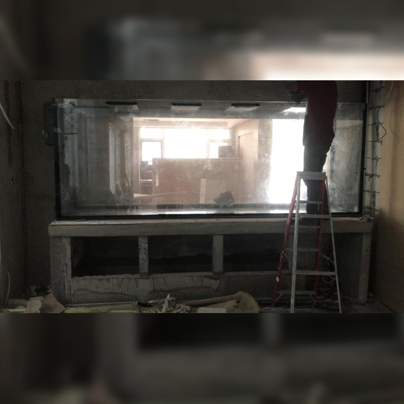 Project